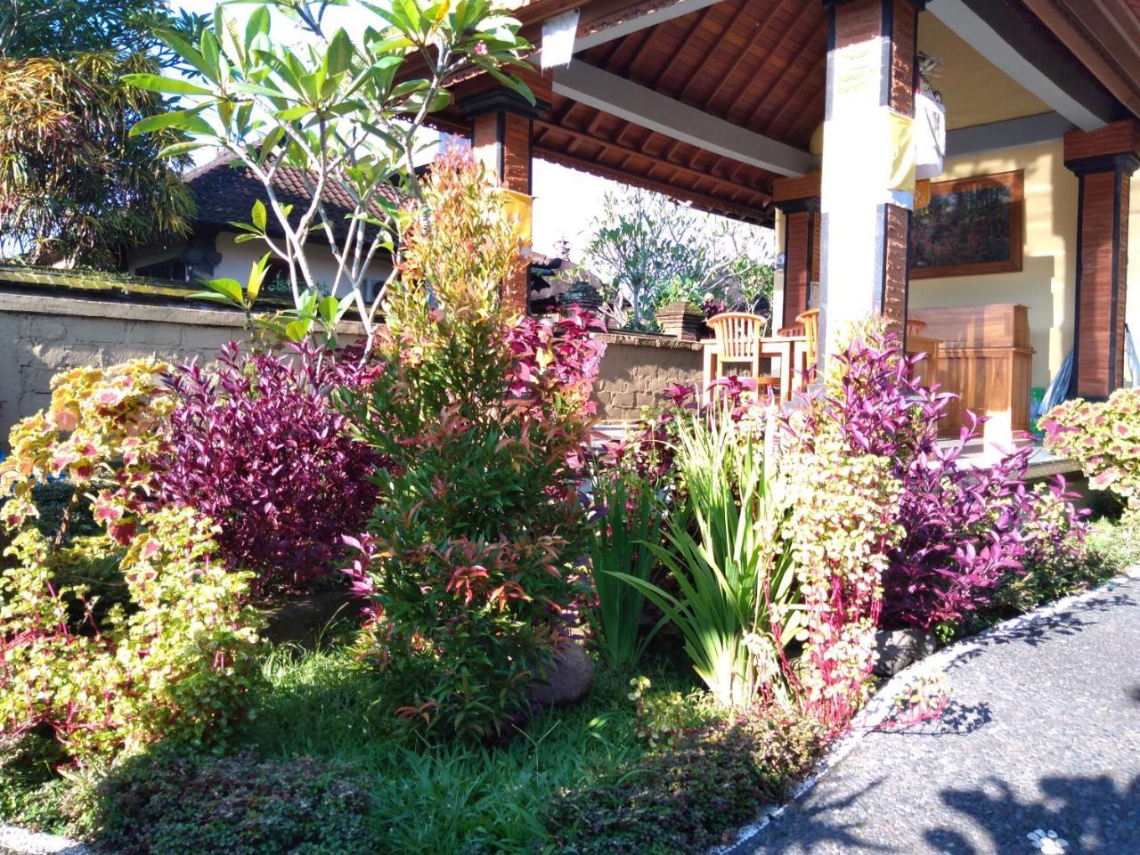 Homestay Omank Agus Ubud (Bali)